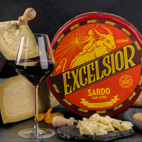 Сыр Sardo ТМ Excelsior (латекс, малый круг)