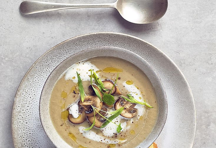 Рецепты вкуснейшего грибного крем-супа: 4 варианта блюда с шампиньонами | горыныч45.рф