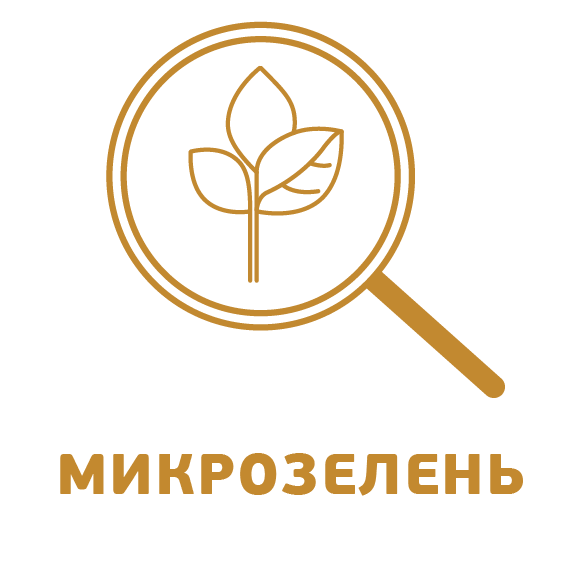 Микрозелень