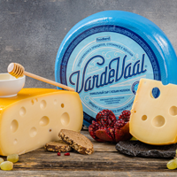 Сыр VardeVaal (латекс)