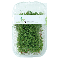 Микрозелень Кресс-салат ТМ Greendl (растущая)